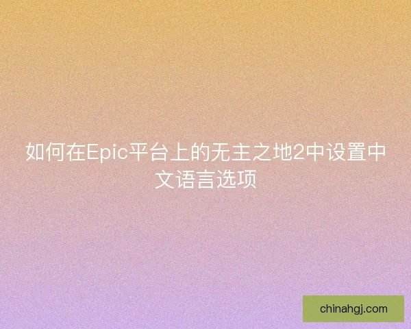 如何在Epic平台上的无主之地2中设置中文语言选项