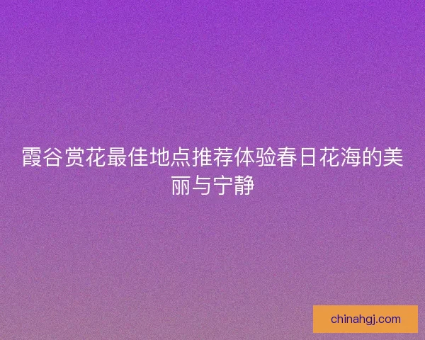 霞谷赏花最佳地点推荐体验春日花海的美丽与宁静